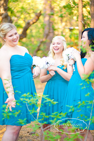 Pinetop Arizona Wedding Photographer