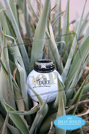 The Duke at Rancho el Dorado Maricopa Wedding Photography Brian Minson