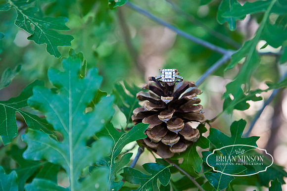Pinetop Arizona Wedding Photographer