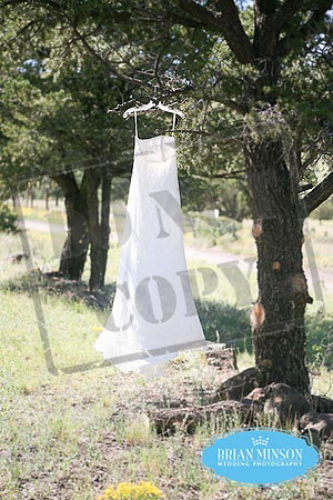 X Diamond Ranch Wedding Arizona Brian Minson