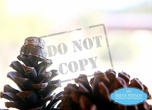X Diamond Ranch Wedding Arizona Brian Minson