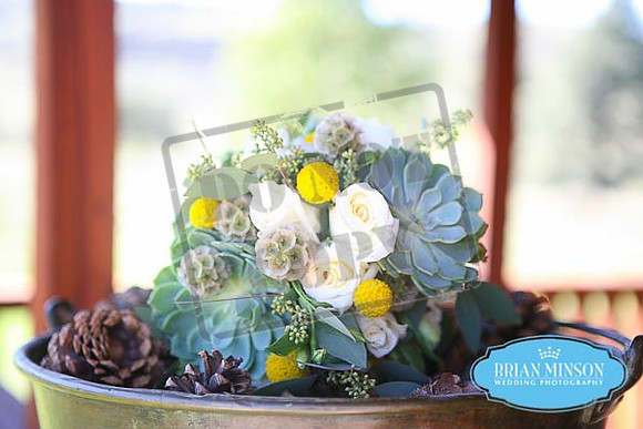 X Diamond Ranch Wedding Arizona Brian Minson