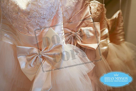 X Diamond Ranch Wedding Arizona Brian Minson