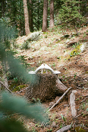 Red Setter Greer Arizona Minson Wedding Photo rustic mounitan kodak pentax645