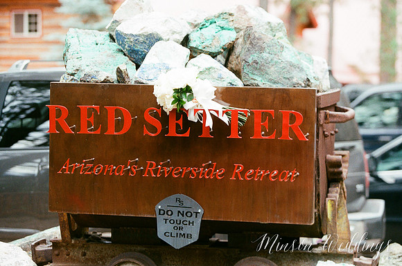 Red Setter Greer Arizona Minson Wedding Photo rustic mounitan kodak pentax645