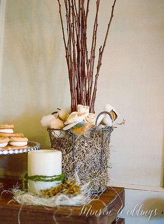 Doubletree Wedding Expo Pinetop Arizona Brian Minson Wedding Photography CinaStill 800 120 medium format film Pentax 645N 75mm 2.8 OldSchoolPhotoLab