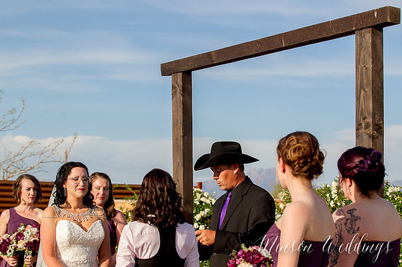 The Paseo Wedding Apache Junction Arizona same sex couple modern wedding brian minson photography