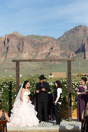 The Paseo Wedding Apache Junction Arizona same sex couple modern wedding brian minson photography