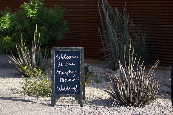 The Paseo Wedding Apache Junction Arizona same sex couple modern wedding brian minson photography
