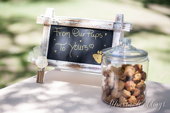 Modern rustic outdoor forrest mountian lake wedding arizona lasy oak resort brian minson photography