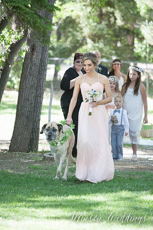 Modern rustic outdoor forrest mountian lake wedding arizona lasy oak resort brian minson photography