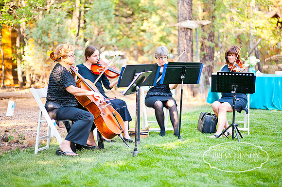 Pinetop Arizona Wedding Photographer