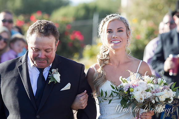 Beautiful Sedona Red Rock Wedding Arizona Brian Minson Mesa Grill Brian Minson