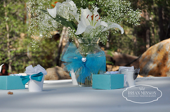 Pinetop Arizona Wedding Photographer