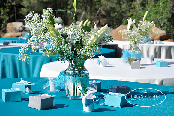 Pinetop Arizona Wedding Photographer