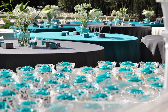 Pinetop Arizona Wedding Photographer