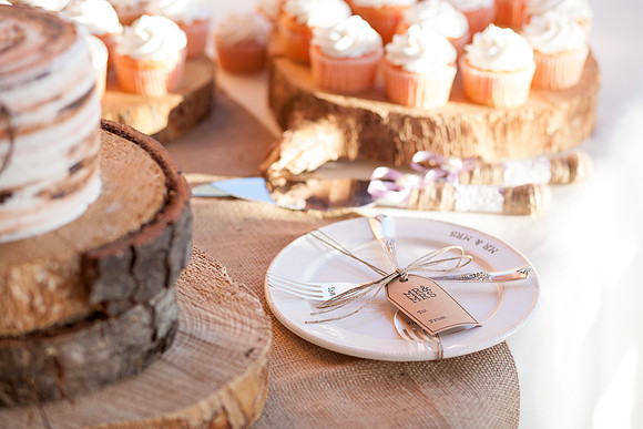 Modern Mountain Wedding in Arizona lakeside brian minson photography