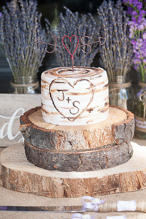 Modern Mountain Wedding in Arizona lakeside brian minson photography
