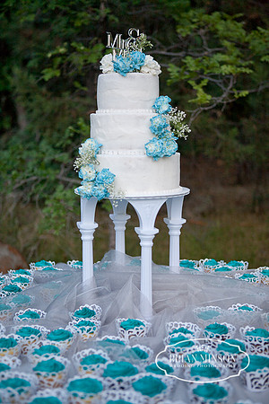 Pinetop Arizona Wedding Photographer