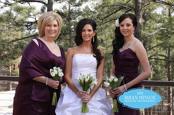 Brian Minson Wedding Torreon Show Low AZ