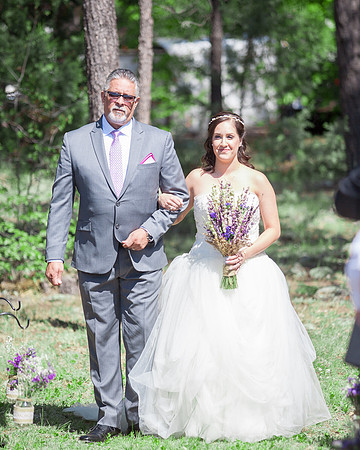 Modern Mountain Wedding in Arizona lakeside brian minson photography